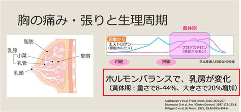 » 乳房が痛いとき、どうする？｜乳がん大事典｜一般 